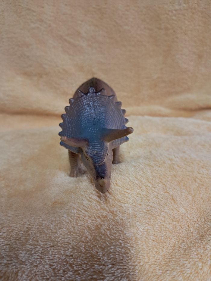 Dinosaure triceratops - photo numéro 3