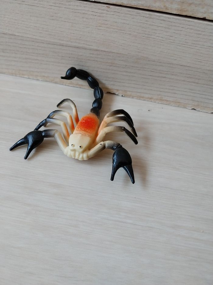 Lot insecte - photo numéro 3