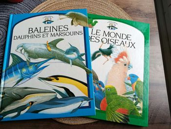 Oiseaux et baleines