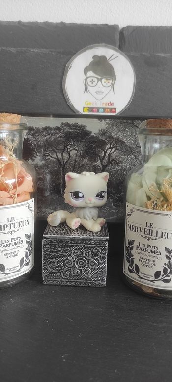 Littlest Petshop Pet Shop LPS Authentic  Authentique cat Chat Persian 722 Persan