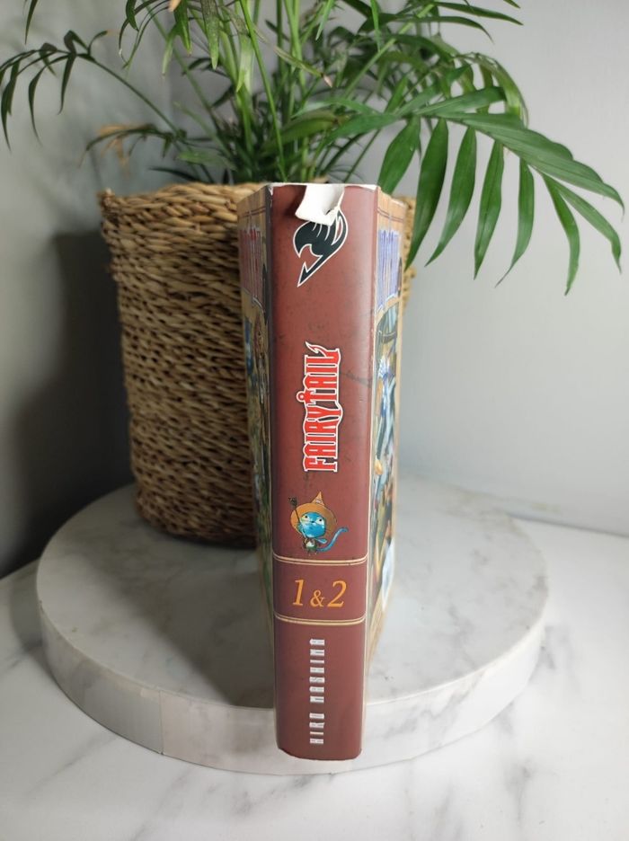 Manga fairy tail tome 1&2 - photo numéro 4