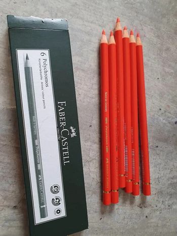 Boîte Crayon de couleur Polychromos 117 faber castell