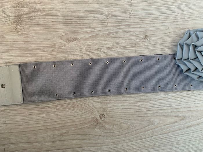 Ceinture grise - photo numéro 2