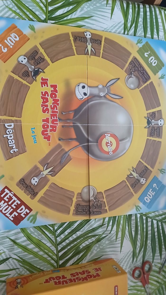 Monsieur je sais tout - photo numéro 3