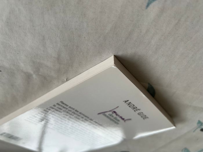 Journal des faux monnayeurs - photo numéro 4