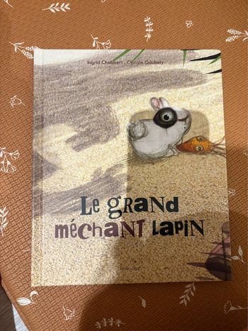 Livre le grand méchant lapin