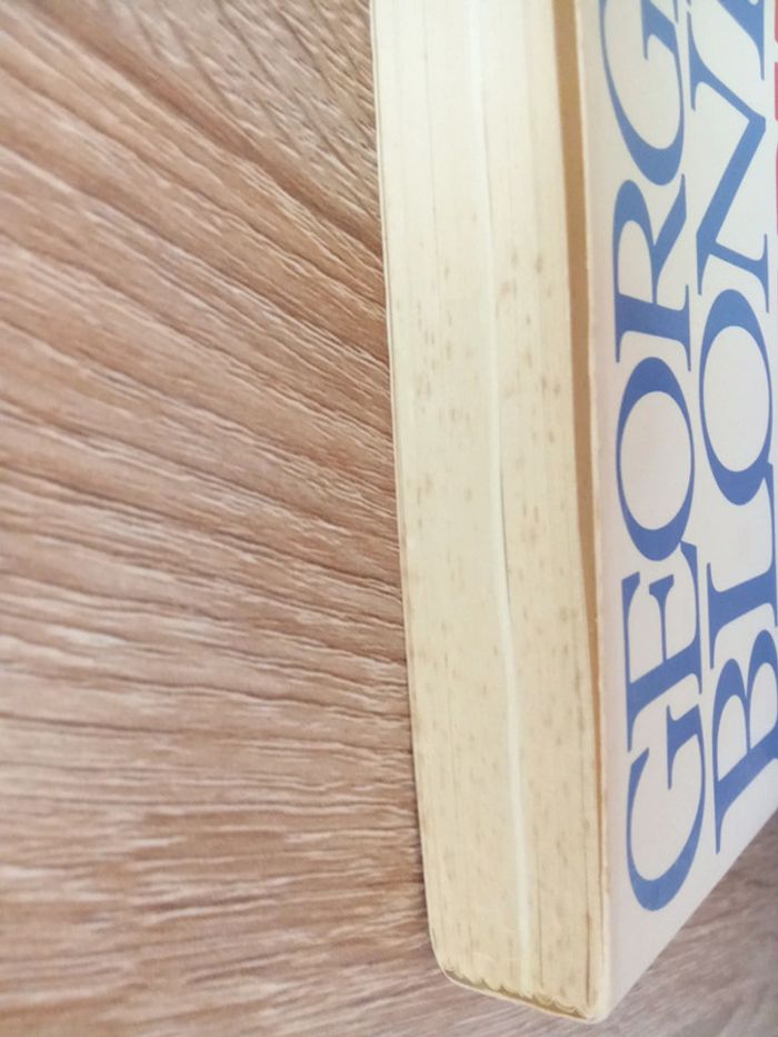 Georges Blond 🪅 La Marne - photo numéro 3