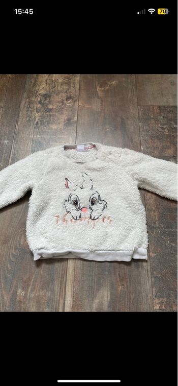 Pull 18 mois Disney