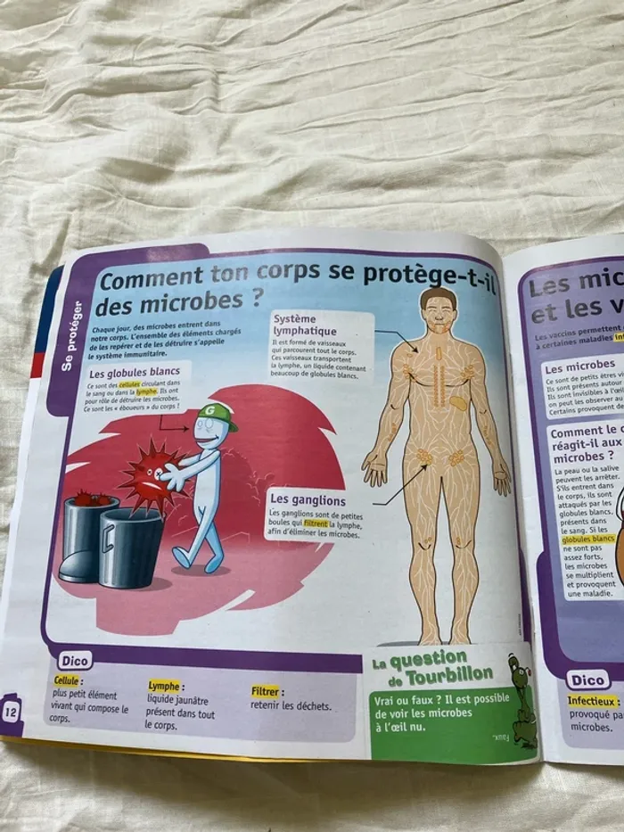 Fiches pédagogiques – Le Petit Quotidien (n°17H, mars 2020) - photo numéro 9