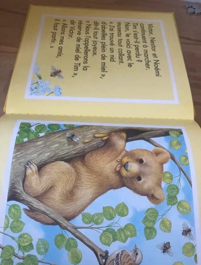 livre  le trésor de l’ours tim - photo numéro 6