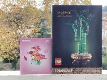 Lego bambou et Mini bonsaï rose