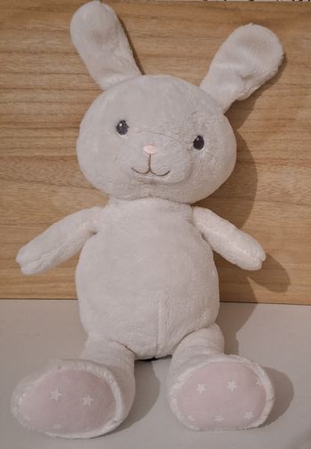 Lapin blanc Orchestra Prémaman