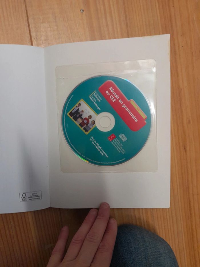 Réussir en grammaire en ce2-Retz - photo numéro 3