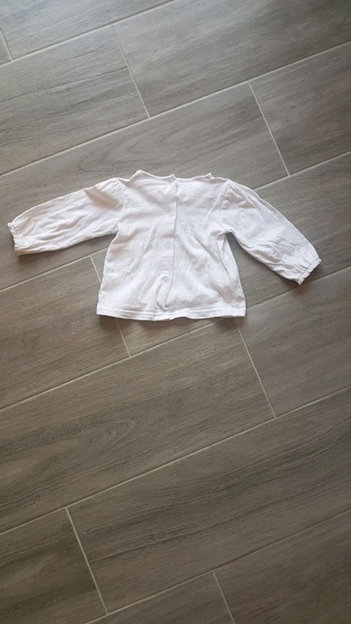 T shirt Pingouin TAO 9 Mois - photo numéro 3