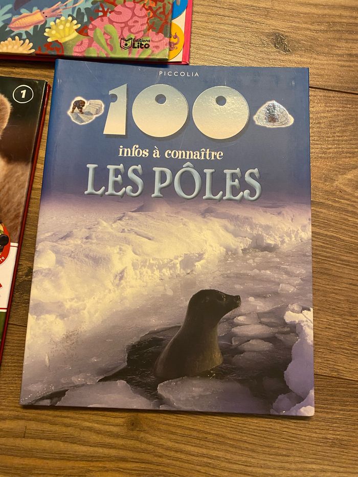 Lot 3 livres enfant découvertes - photo numéro 4