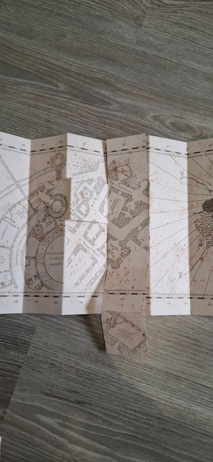 Carte du Maraudeur Harry Potter - photo numéro 3