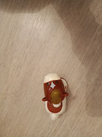 Tut tut animo lasso le cheval rodeo