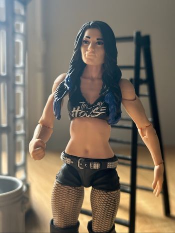 Paige WWE Action Figure