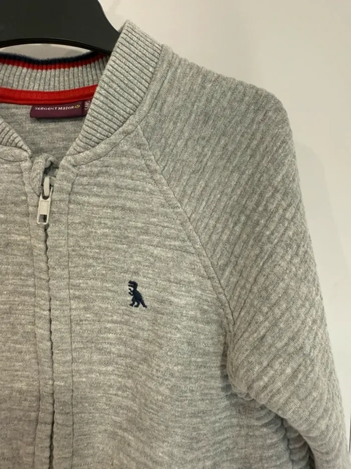Gilet garçon sergent major - gris thème Dino 5 ans - photo numéro 5