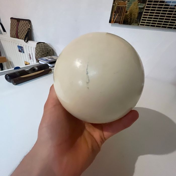 Œuf d’autruche - photo numéro 6