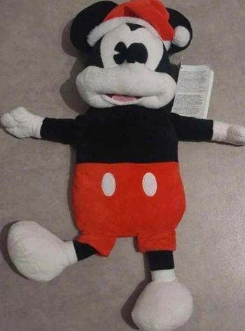 bouillote mickey 40cm