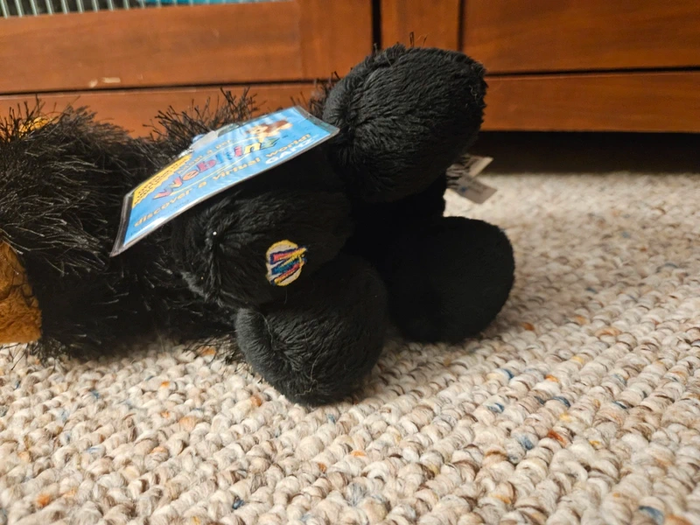 Webkinz NWT HM004 Ours noir - photo numéro 3