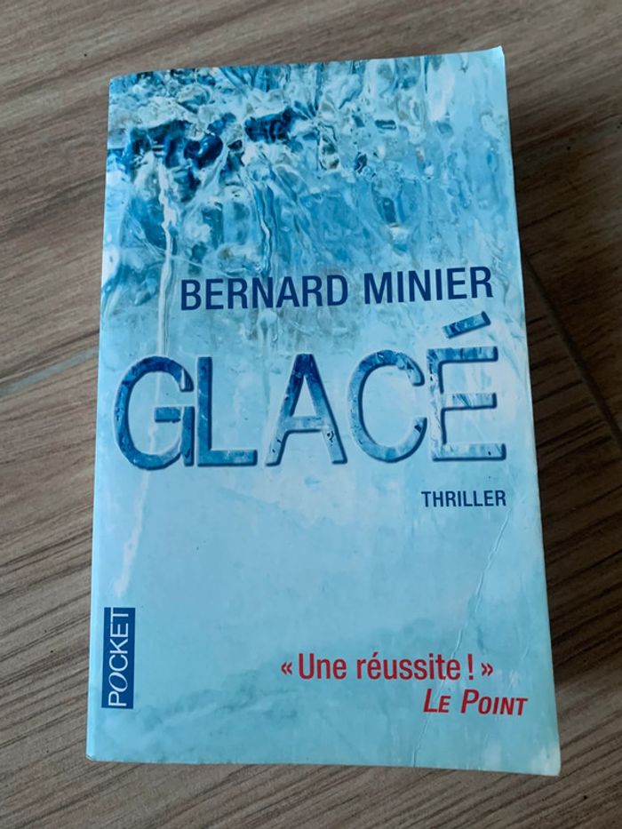 Livre Bernard minier glace thriller