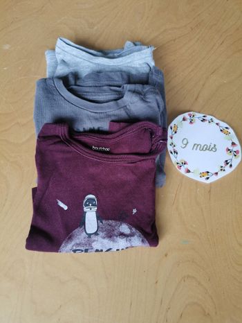 Lot de 3 t-shirts manches longues bébé garçon 9mois bout'chou tbe