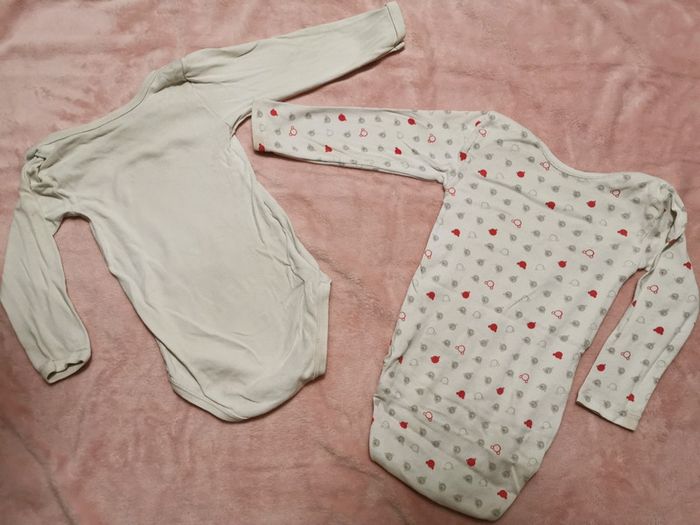 Lot 2 bodies ML mixtes 24 mois - photo numéro 2