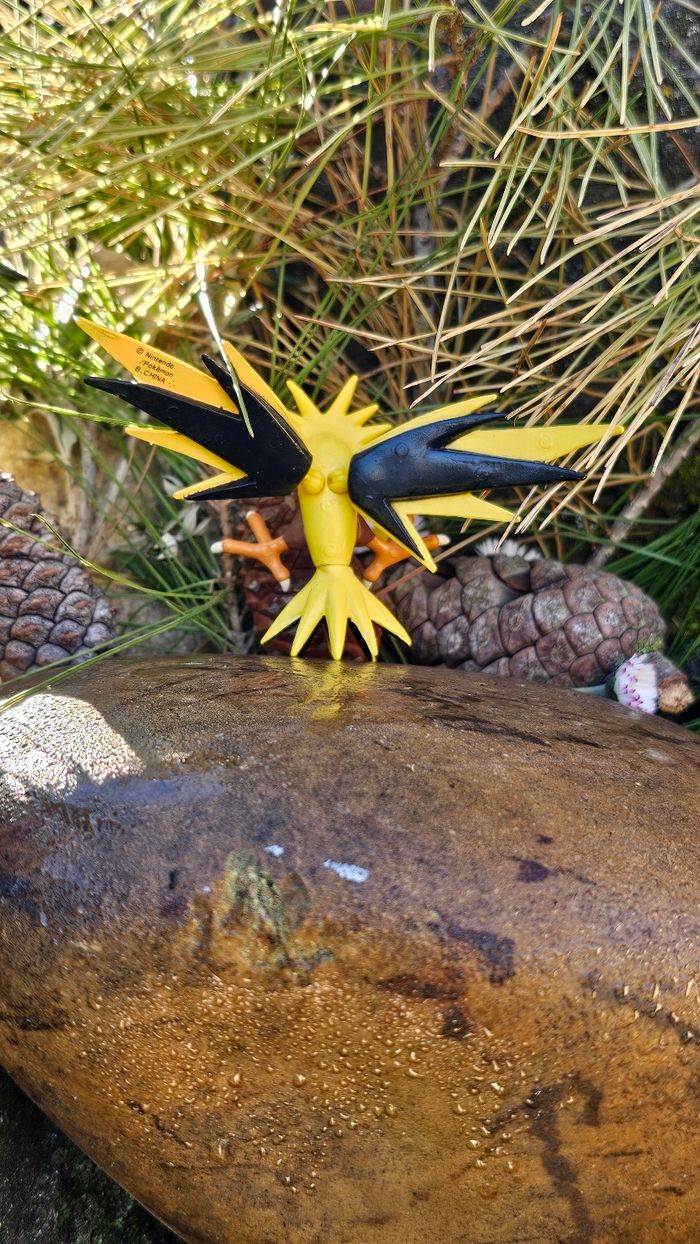 Super figurine Pokemon Nintendo Elector - photo numéro 5