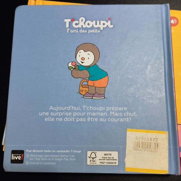 Livre enfant Nathan T'choupi fait une surprise à maman - photo numéro 2