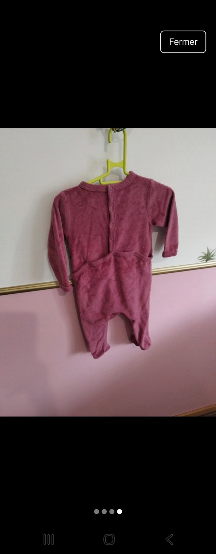 Grenouillère - photo numéro 4