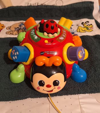 Coccinelle des formes