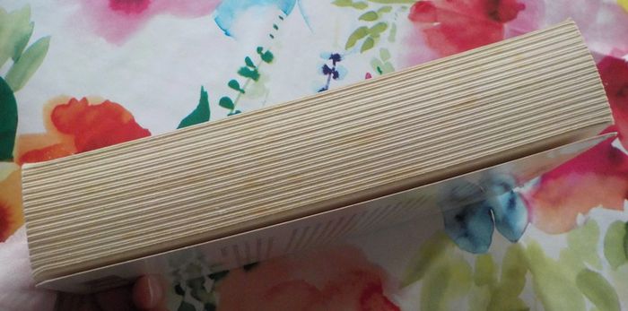 Journal apocryphe d'un président Ed. Lattès - photo numéro 4