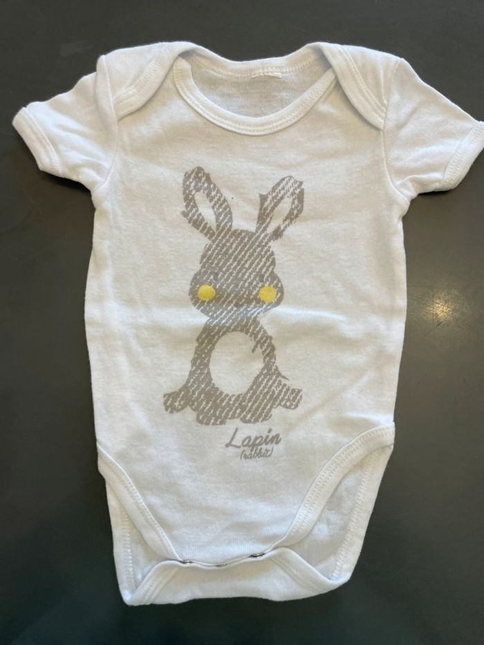 Body lapin
