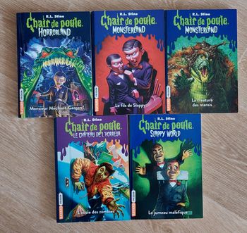 05 Livres chair de poule