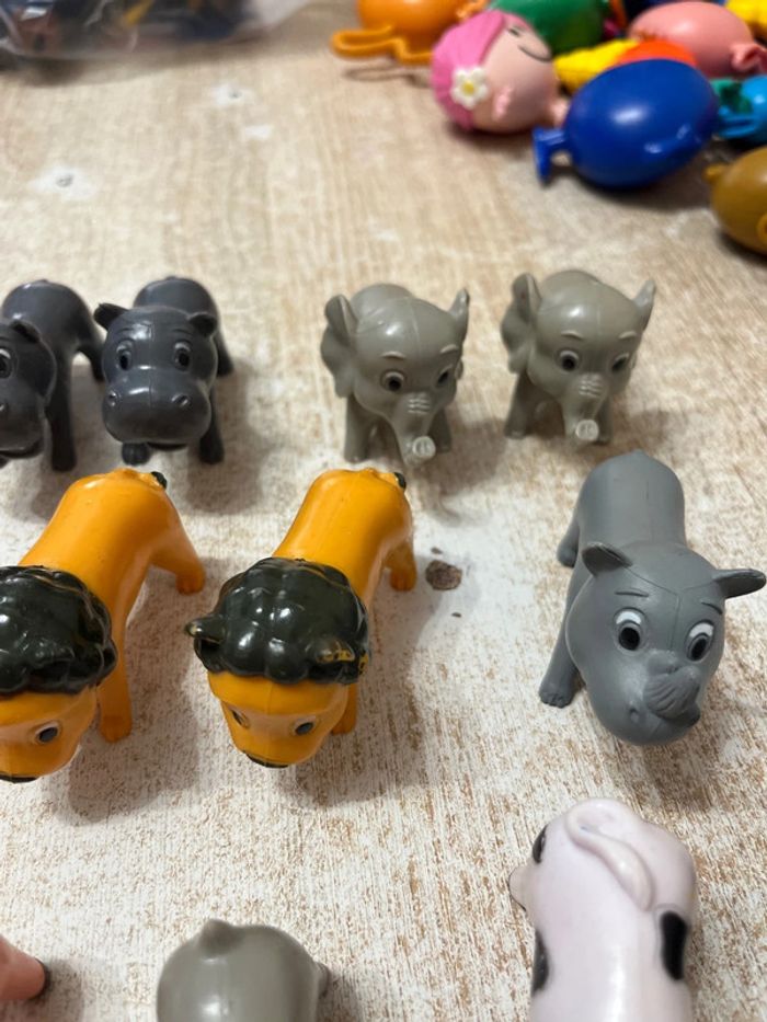 Animaux divers - photo numéro 6