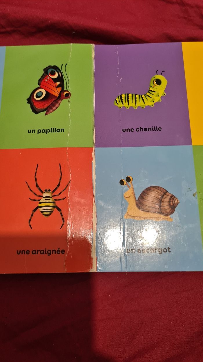 Imagier - photo numéro 2