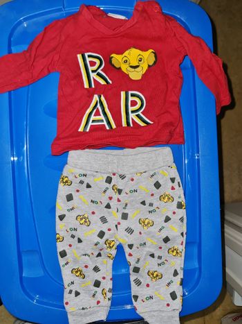 Ensemble le roi lion