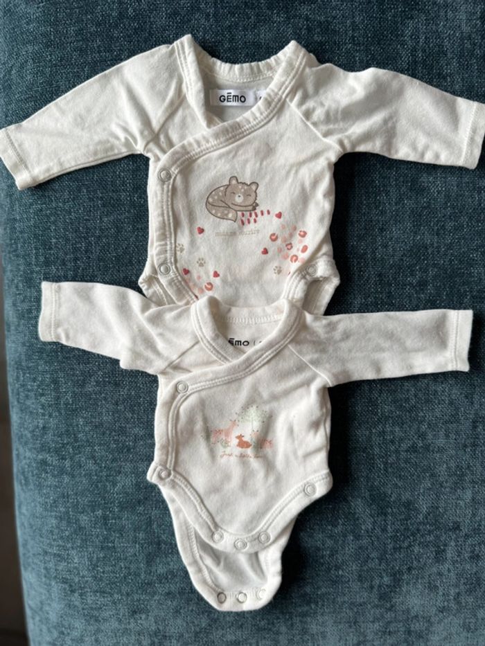 Lot de 2 bodys bébé fille