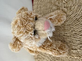 Lionceau  doudou peluche double zoo