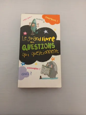 Le grand livre des questions qui questionnent