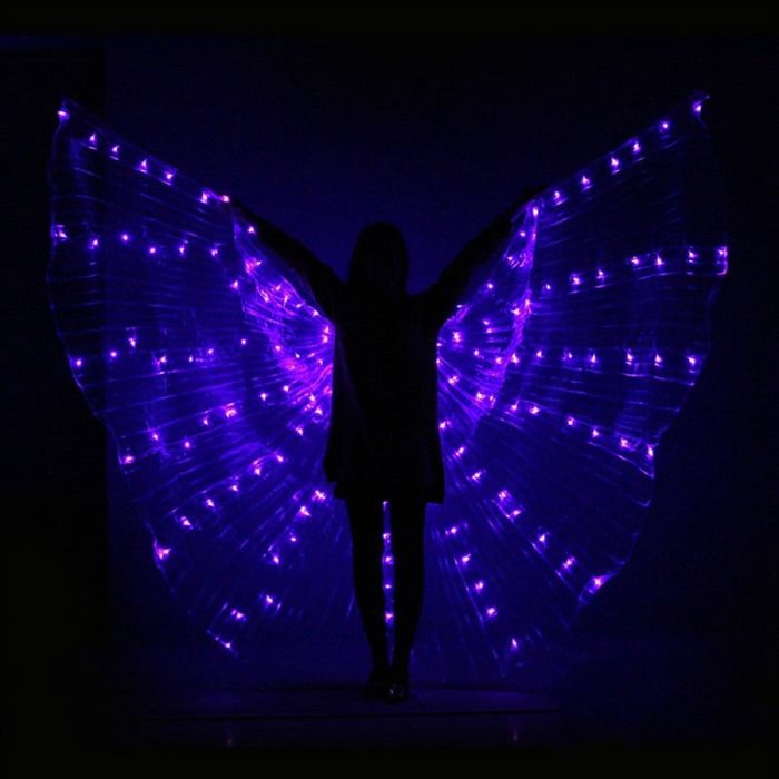 Aile scintillante lumineuse de performance - photo numéro 2