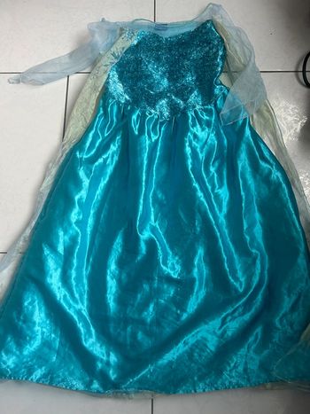 Costume reine des neiges Elsa
