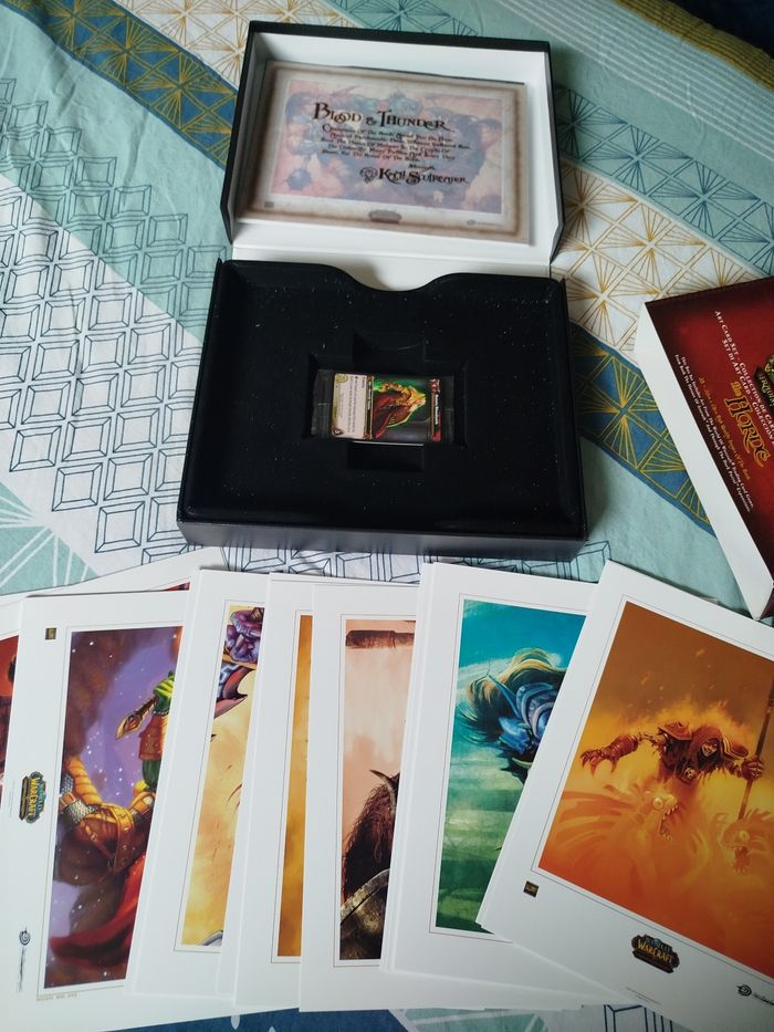 Coffret 35 cartes the horde world of warcraft - photo numéro 8
