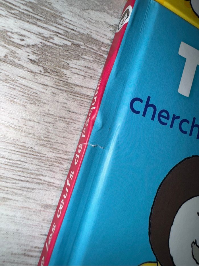 Lot livre t'choupi - photo numéro 3