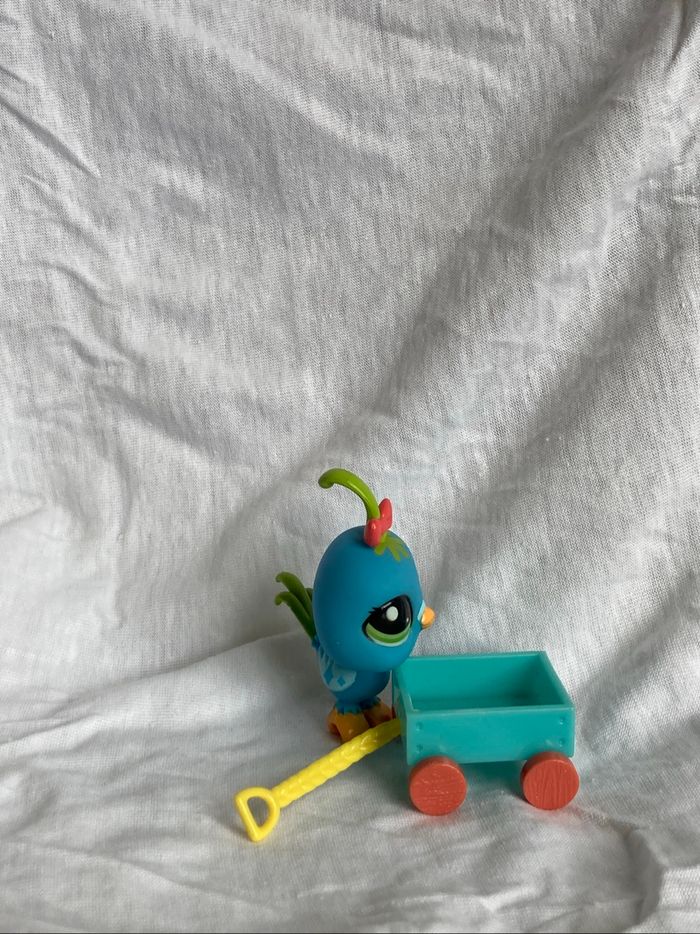 lps caille - photo numéro 4