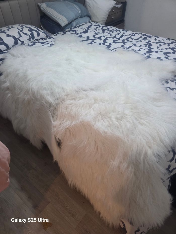 Tapis - photo numéro 2