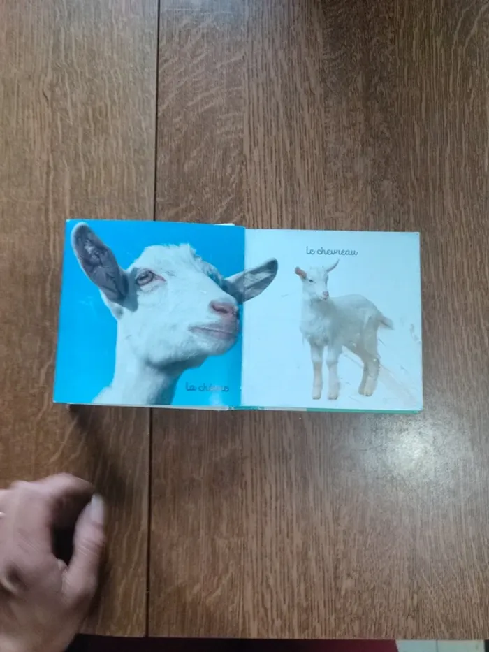 Livre mon Mini imagier des animaux - photo numéro 12