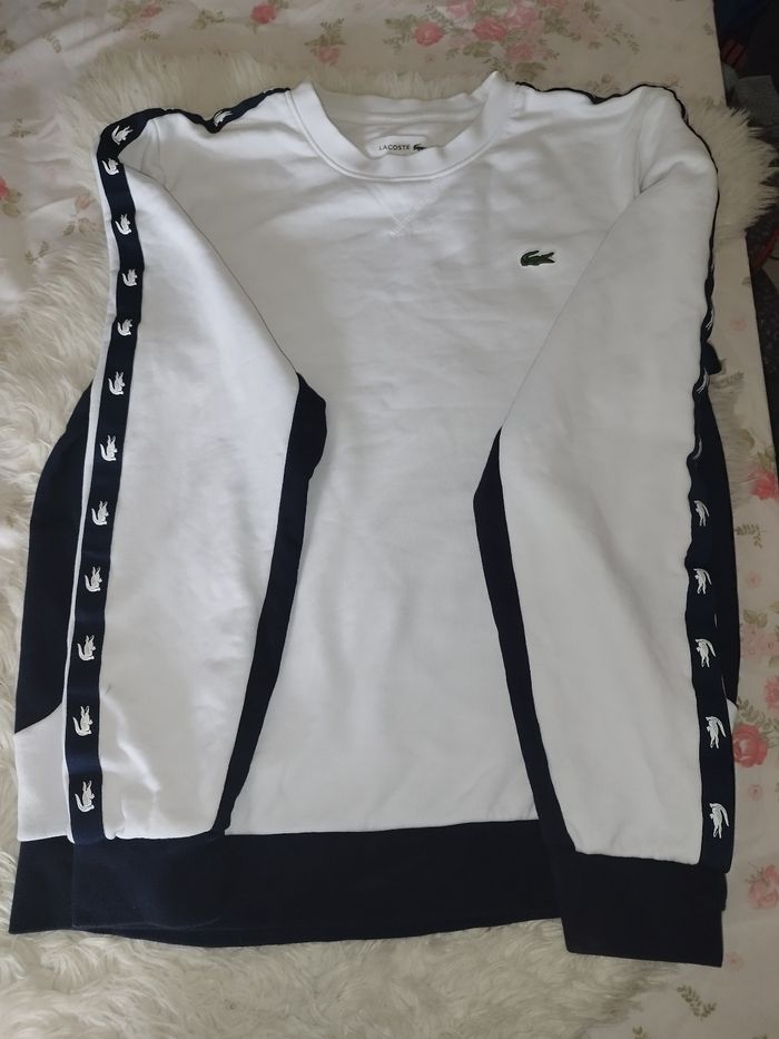 Sweat bicolore LACOSTE - photo numéro 2